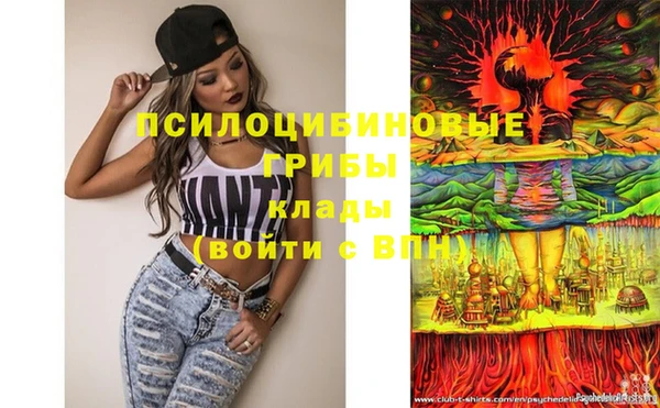 трава Бронницы