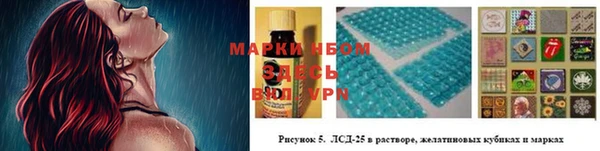 гидропоника Бородино
