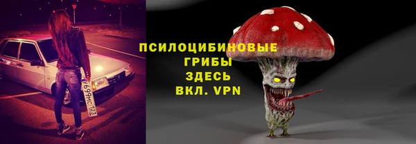 гидропоника Бородино