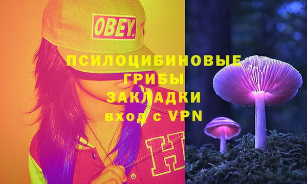 ECSTASY Богородицк