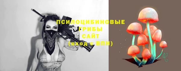 гидропоника Бородино