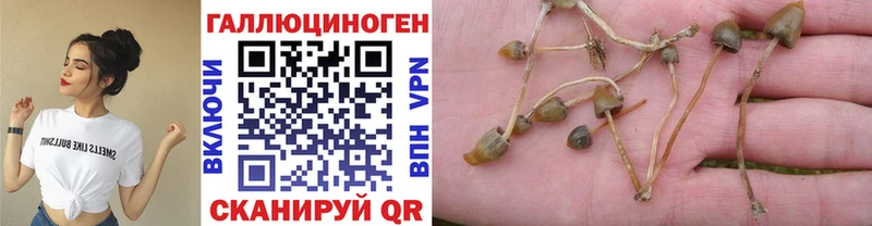 Псилоцибиновые грибы MAGIC MUSHROOMS  Гулькевичи 